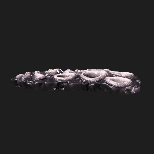 Name-Vents, specimen model from the survey.
