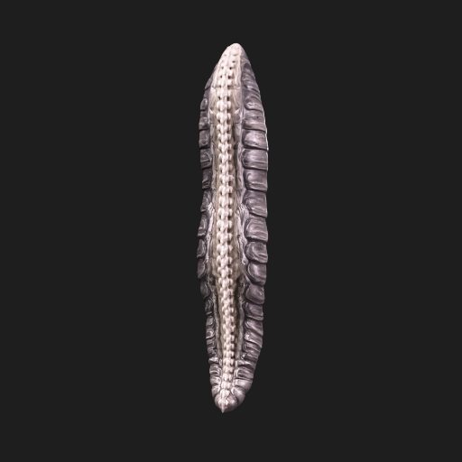 Seam Ripper, specimen model from the survey.