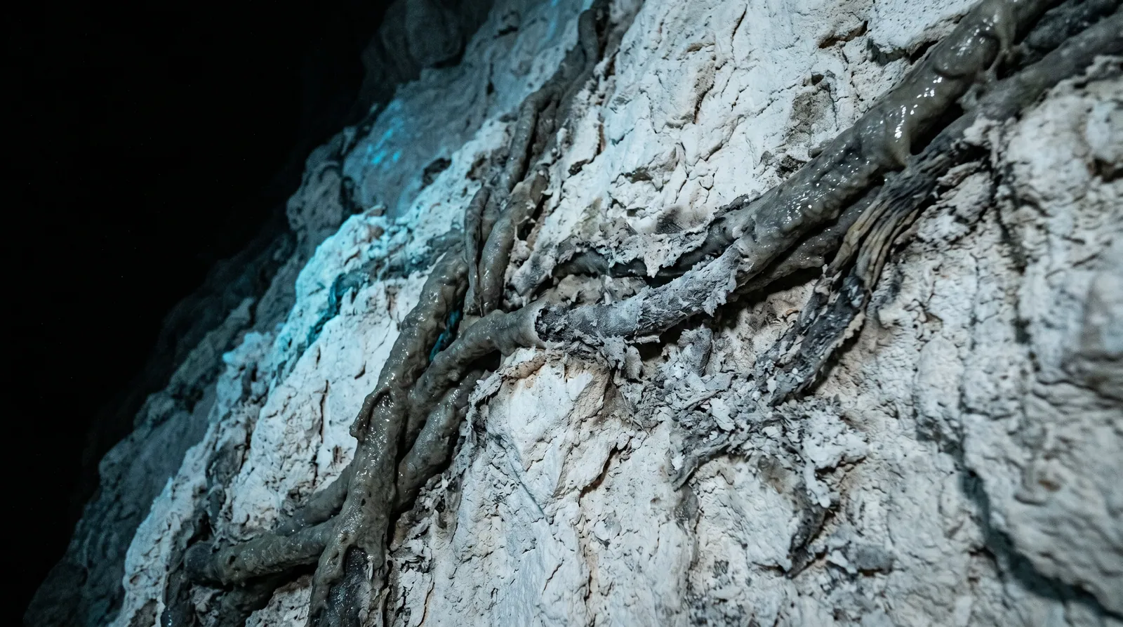 A pale mineral crust across dark terrain.