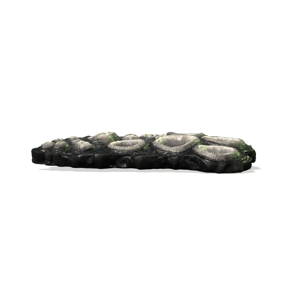 Name-Vents, interactive specimen from the survey.