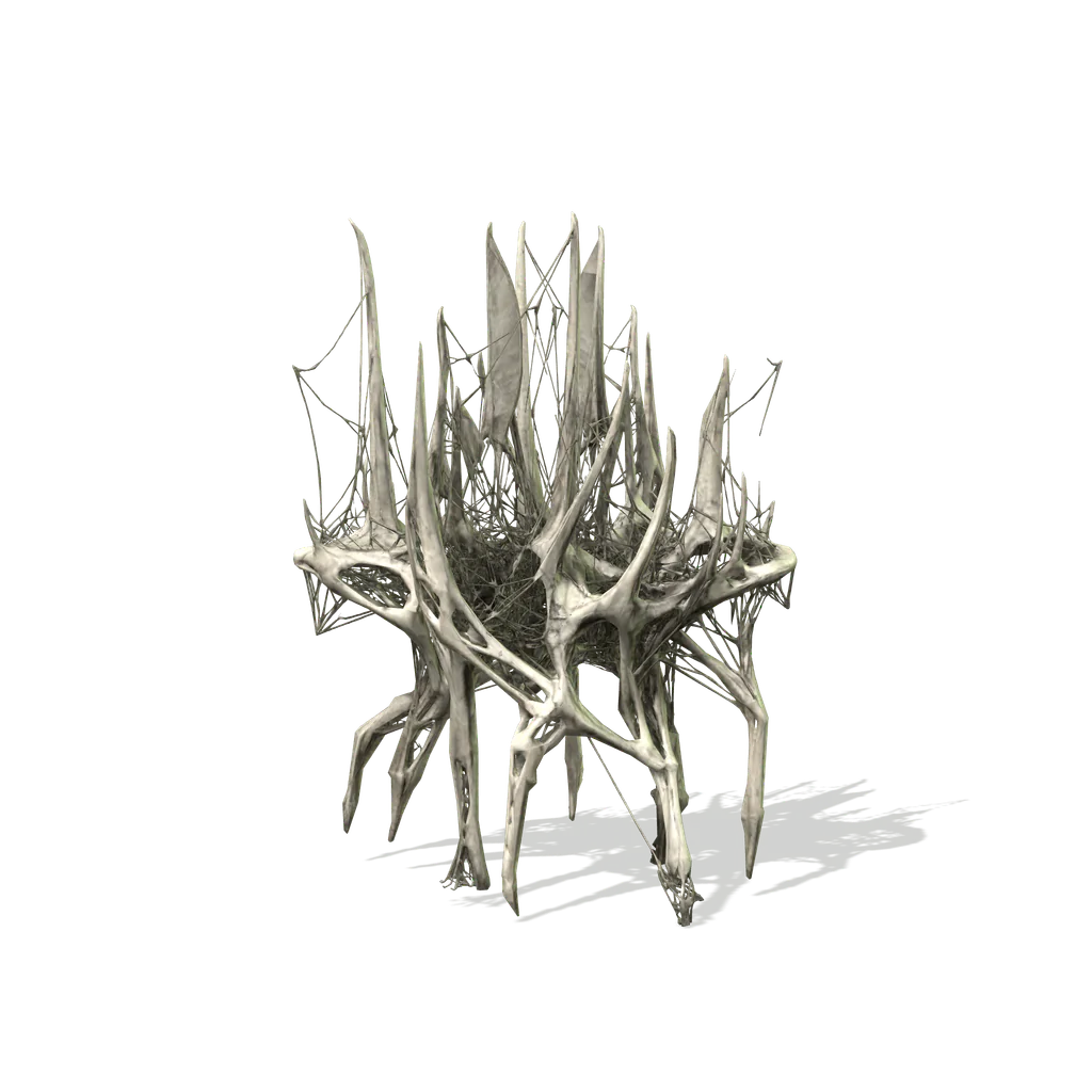 Rib Array, interactive specimen from the survey.