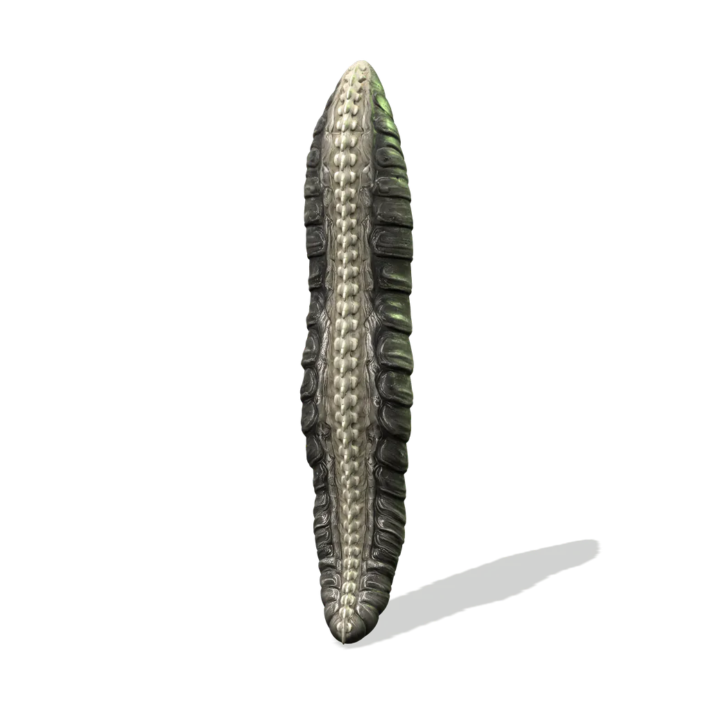 Seam Ripper, interactive specimen from the survey.