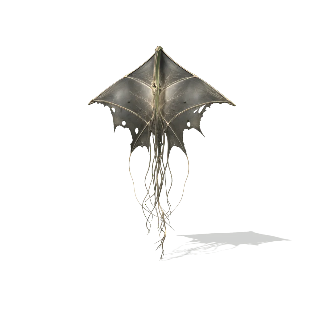 Skyhook, interactive specimen from the survey.